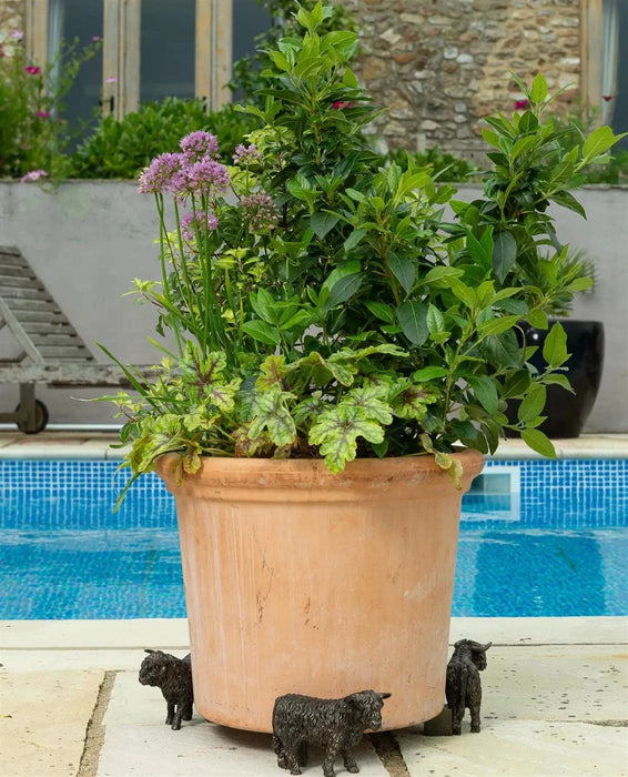 Jardinopia Plant Pot Accessories - Plant Pot Feet - Bronze Highland Cow