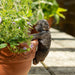 Jardinopia Plant Pot Accessories - Plant Pot Hanger - Bronze Dogs