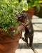 Jardinopia Plant Pot Accessories - Plant Pot Hanger - Bronze Velociraptor