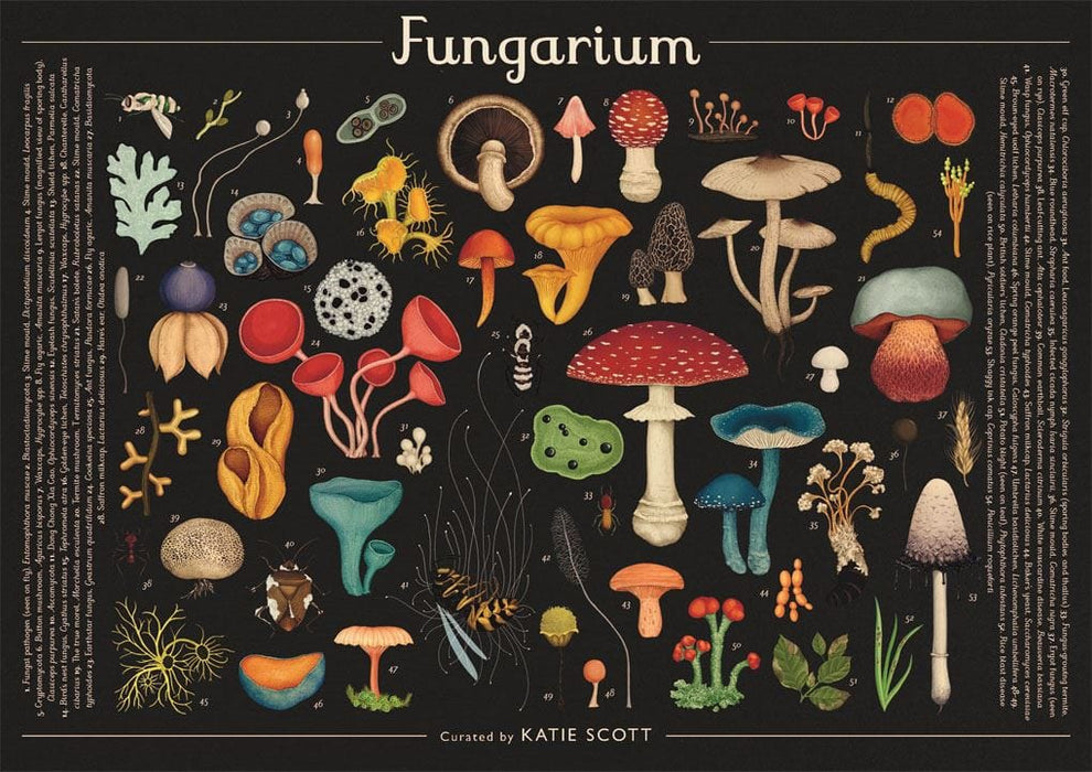 Katie Scott Games - Fungarium 1000 Piece Jigsaw Puzzle