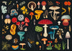 Katie Scott Games - Fungarium 1000 Piece Jigsaw Puzzle
