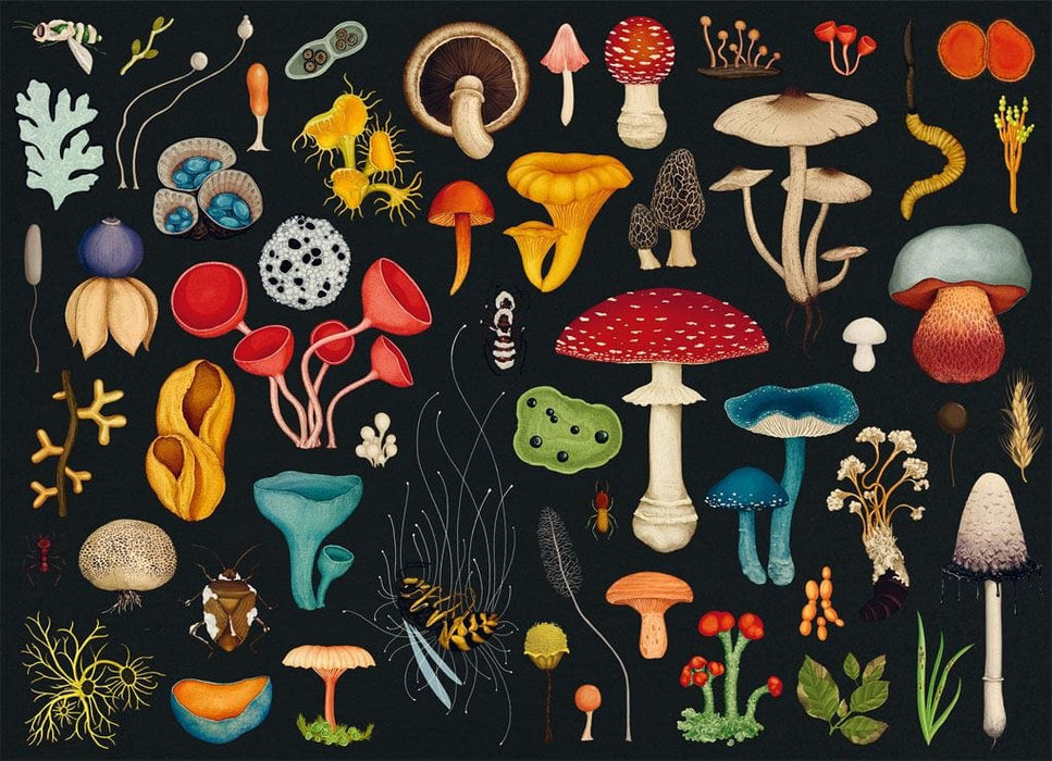 Katie Scott Games - Fungarium 1000 Piece Jigsaw Puzzle