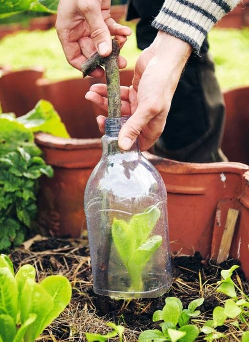 Murdoch Books Books - Garden Hacks