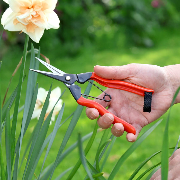 Niwaki Garden Tools & Equipment - Niwaki Garden Snips