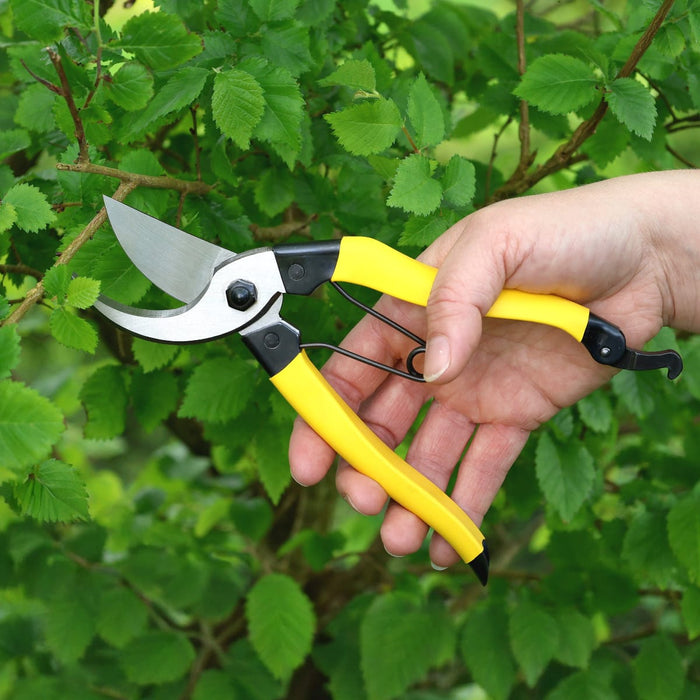 Niwaki Garden Tools & Equipment - Niwaki Mainichi Secateurs