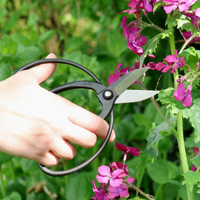 Niwaki Garden Tools & Equipment - Niwaki Sentei Garden Scissors