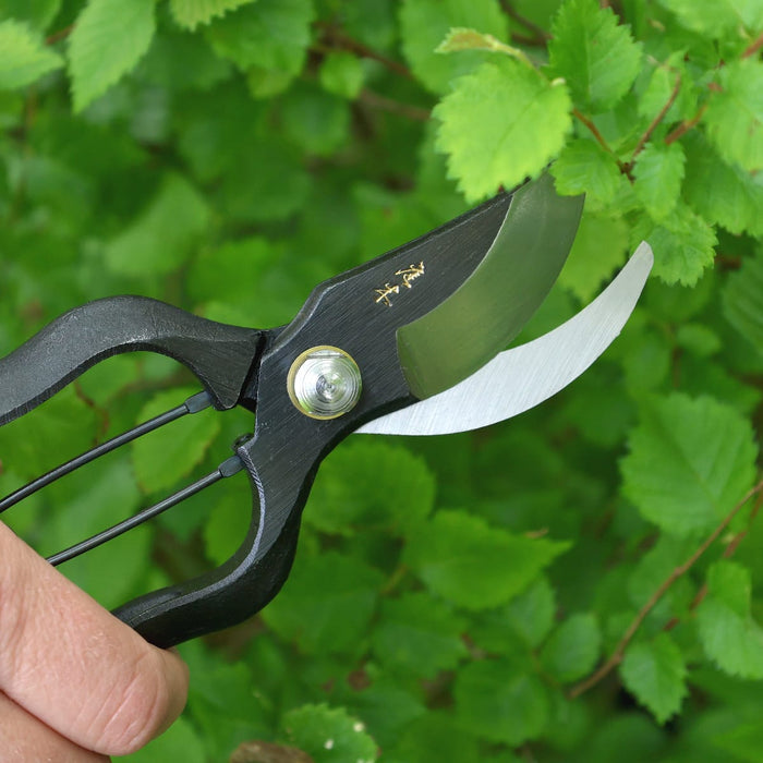 Niwaki Garden Tools & Equipment - Niwaki Sentei Secateurs