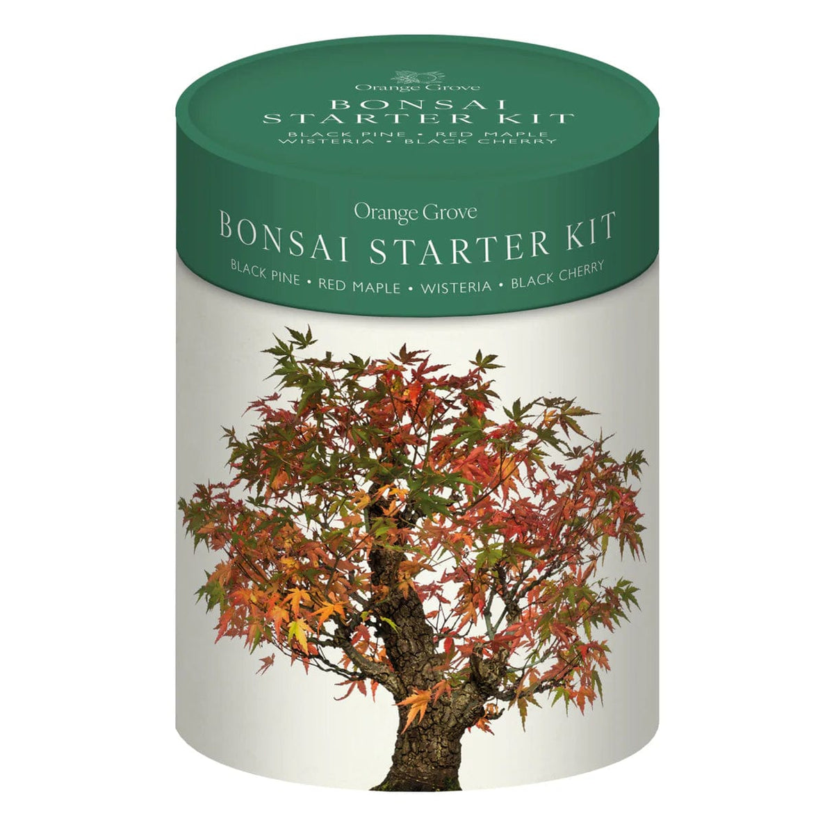 bonsai tree starter kit uk Bonsai Starter Kit — Gardening Gifts Co