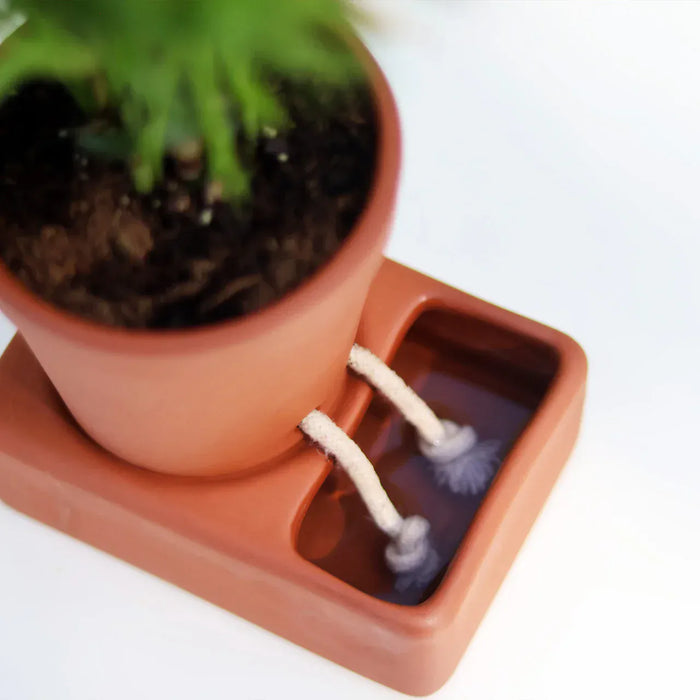 Pikkii Indoor Plant Pots - Self Care Planter