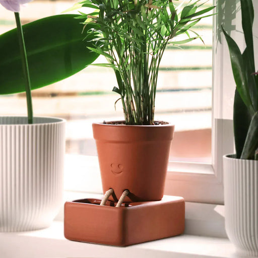 Pikkii Indoor Plant Pots - Self Care Planter