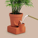 Pikkii Indoor Plant Pots - The Thirsty Planter