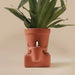 Pikkii Indoor Plant Pots - The Thirsty Planter