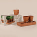 Pikkii Indoor Plant Pots - Trio Self Care Planter