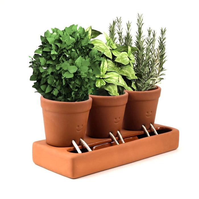 Pikkii Indoor Plant Pots - Trio Self Care Planter
