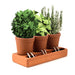 Pikkii Indoor Plant Pots - Trio Self Care Planter