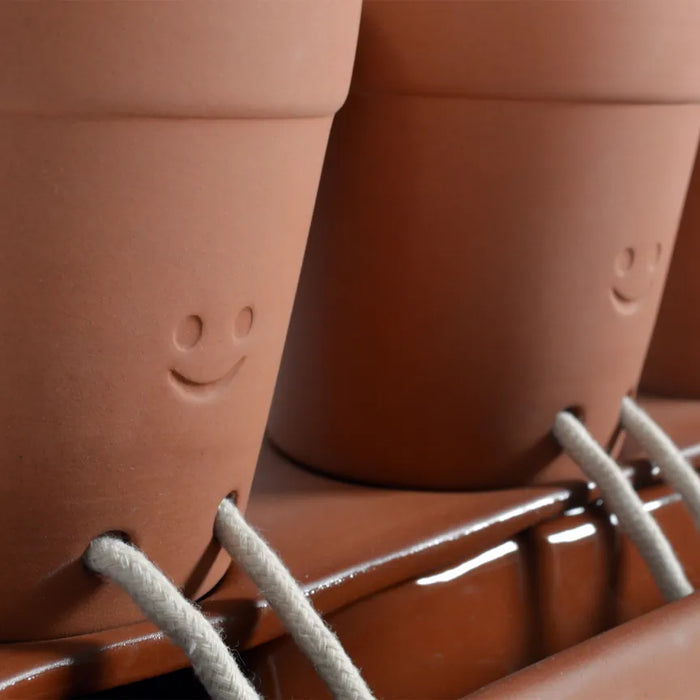 Pikkii Indoor Plant Pots - Trio Self Care Planter