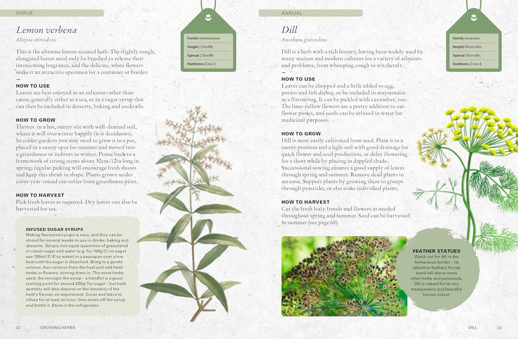 Royal Botanic Gardens, Kew Books - Kew Gardener's Guide To Growing Herbs