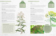 Royal Botanic Gardens, Kew Books - Kew Gardener's Guide To Growing Herbs