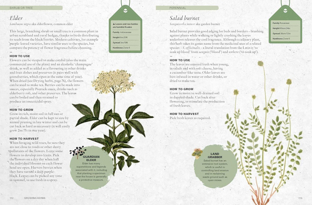 Royal Botanic Gardens, Kew Books - Kew Gardener's Guide To Growing Herbs