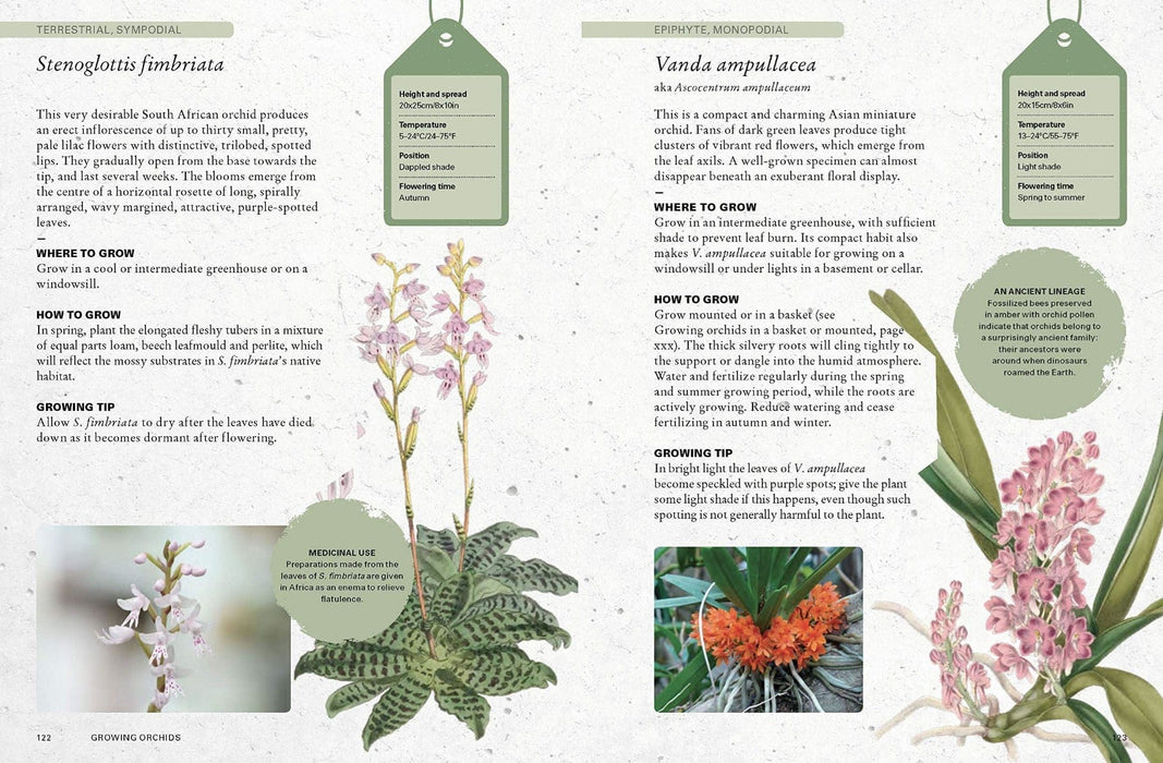 Royal Botanic Gardens, Kew Books - Kew Gardener's Guide To Growing Orchids