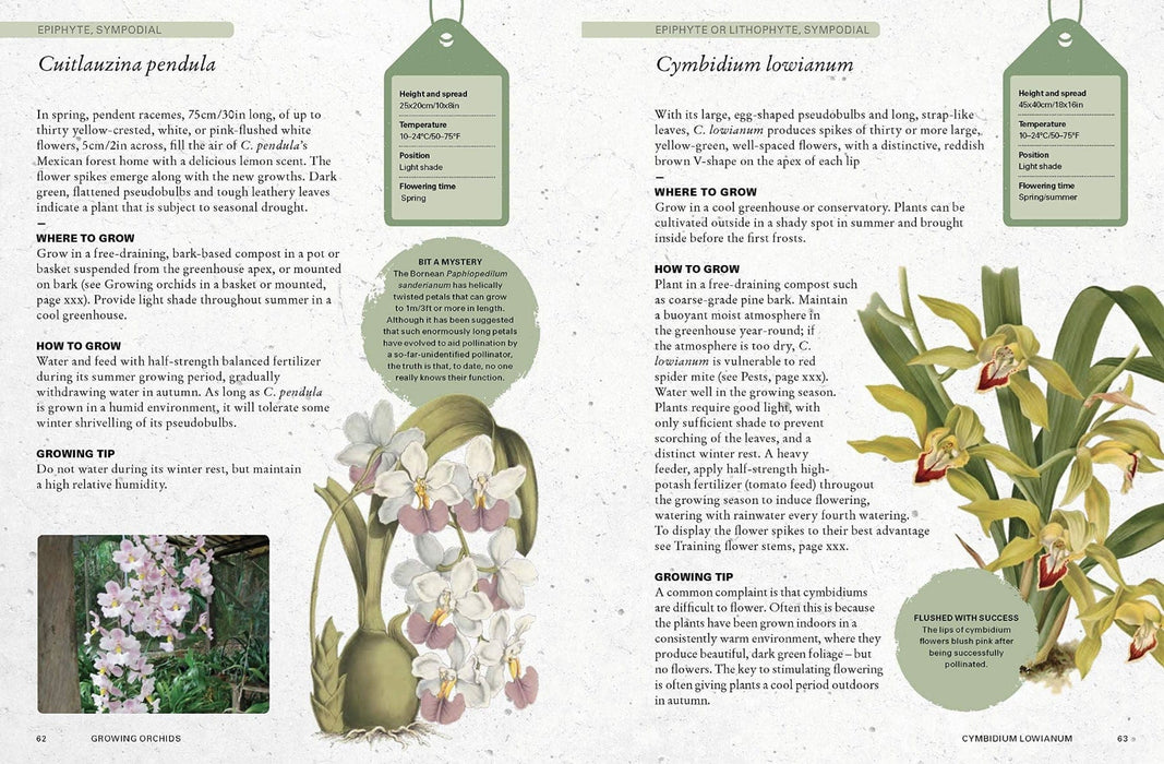 Royal Botanic Gardens, Kew Books - Kew Gardener's Guide To Growing Orchids