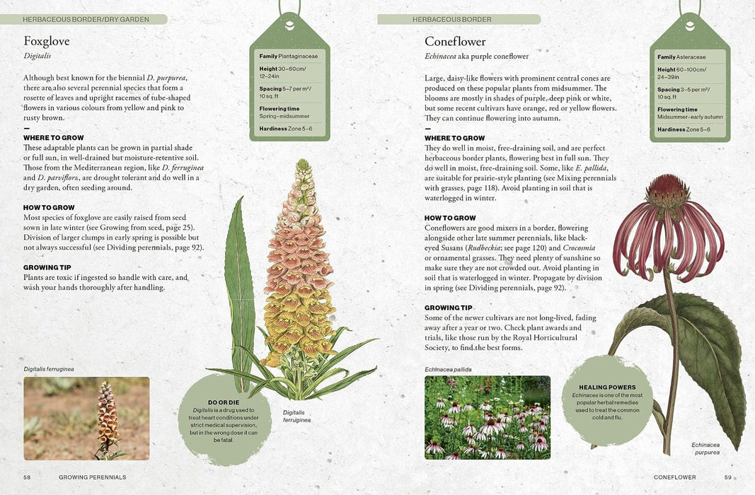 Royal Botanic Gardens, Kew Books - Kew Gardener's Guide To Growing Perennials