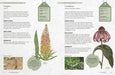Royal Botanic Gardens, Kew Books - Kew Gardener's Guide To Growing Perennials