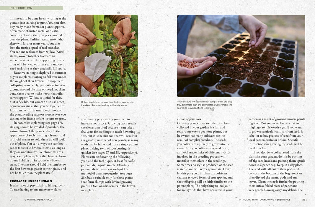 Royal Botanic Gardens, Kew Books - Kew Gardener's Guide To Growing Perennials