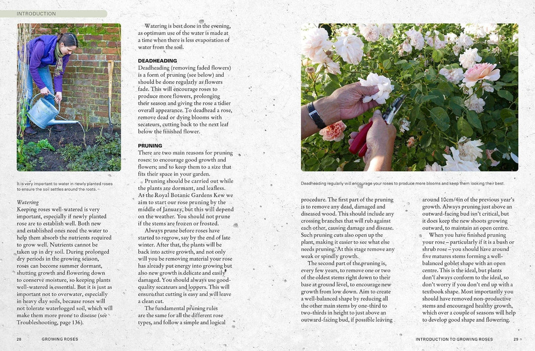 Royal Botanic Gardens, Kew Books - Kew Gardener's Guide To Growing Roses