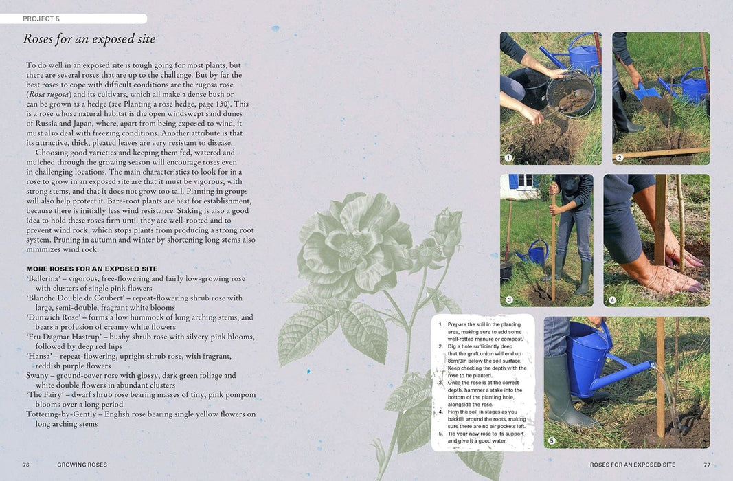 Royal Botanic Gardens, Kew Books - Kew Gardener's Guide To Growing Roses