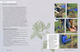 Royal Botanic Gardens, Kew Books - Kew Gardener's Guide To Growing Roses