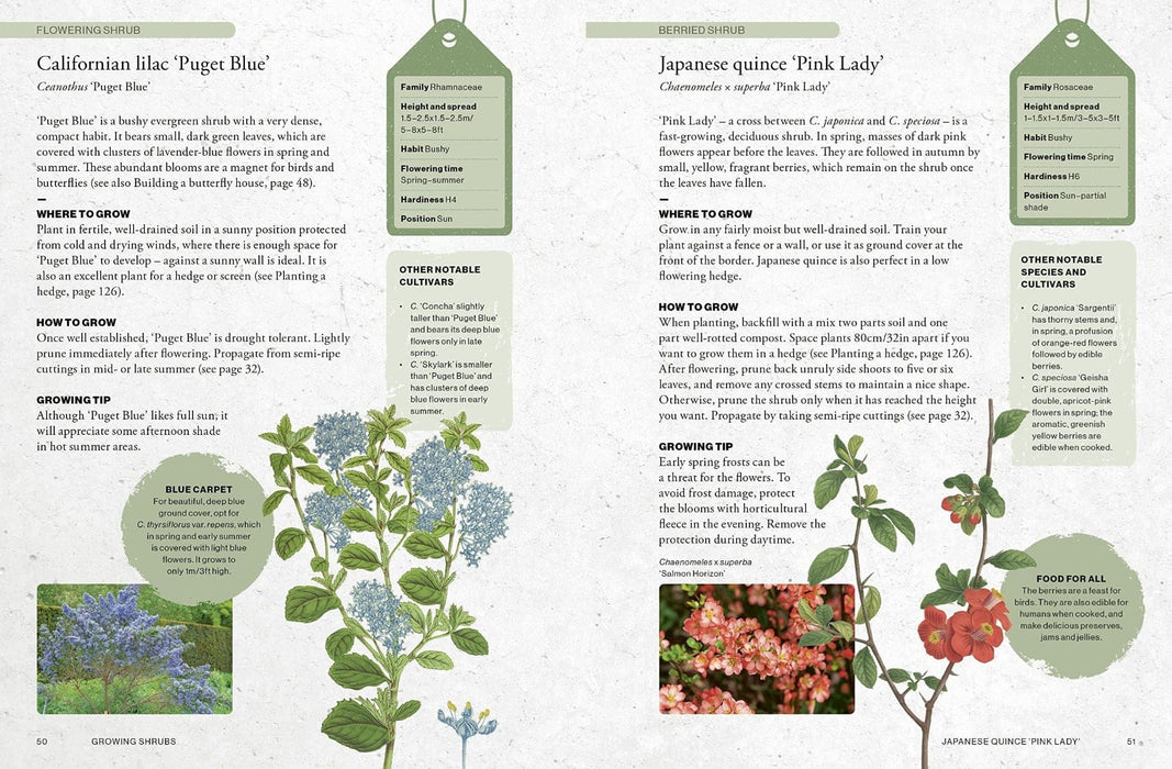 Royal Botanic Gardens, Kew Books - Kew Gardener's Guide To Growing Shrubs
