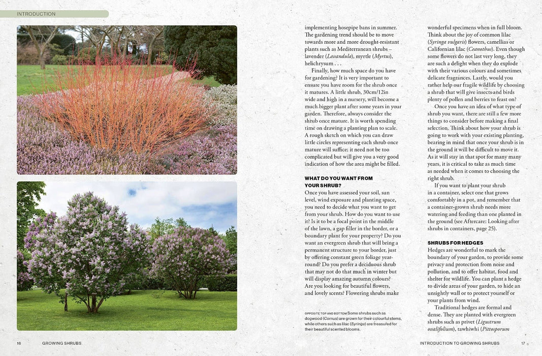 Royal Botanic Gardens, Kew Books - Kew Gardener's Guide To Growing Shrubs