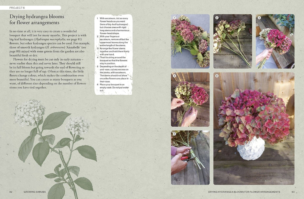 Royal Botanic Gardens, Kew Books - Kew Gardener's Guide To Growing Shrubs