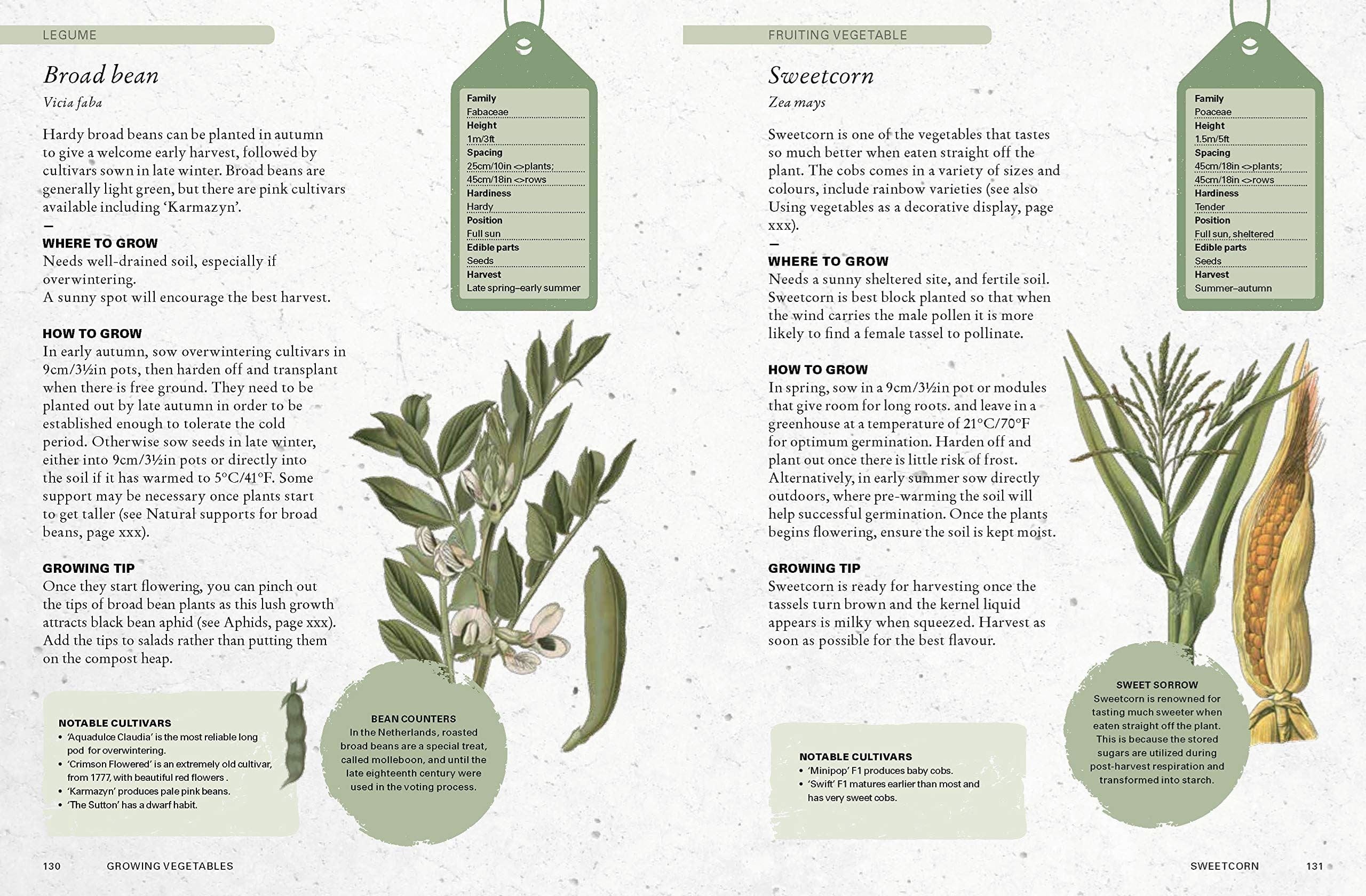 Kew Gardener's Guide To Growing Vegetables — Gardening Gifts Co.