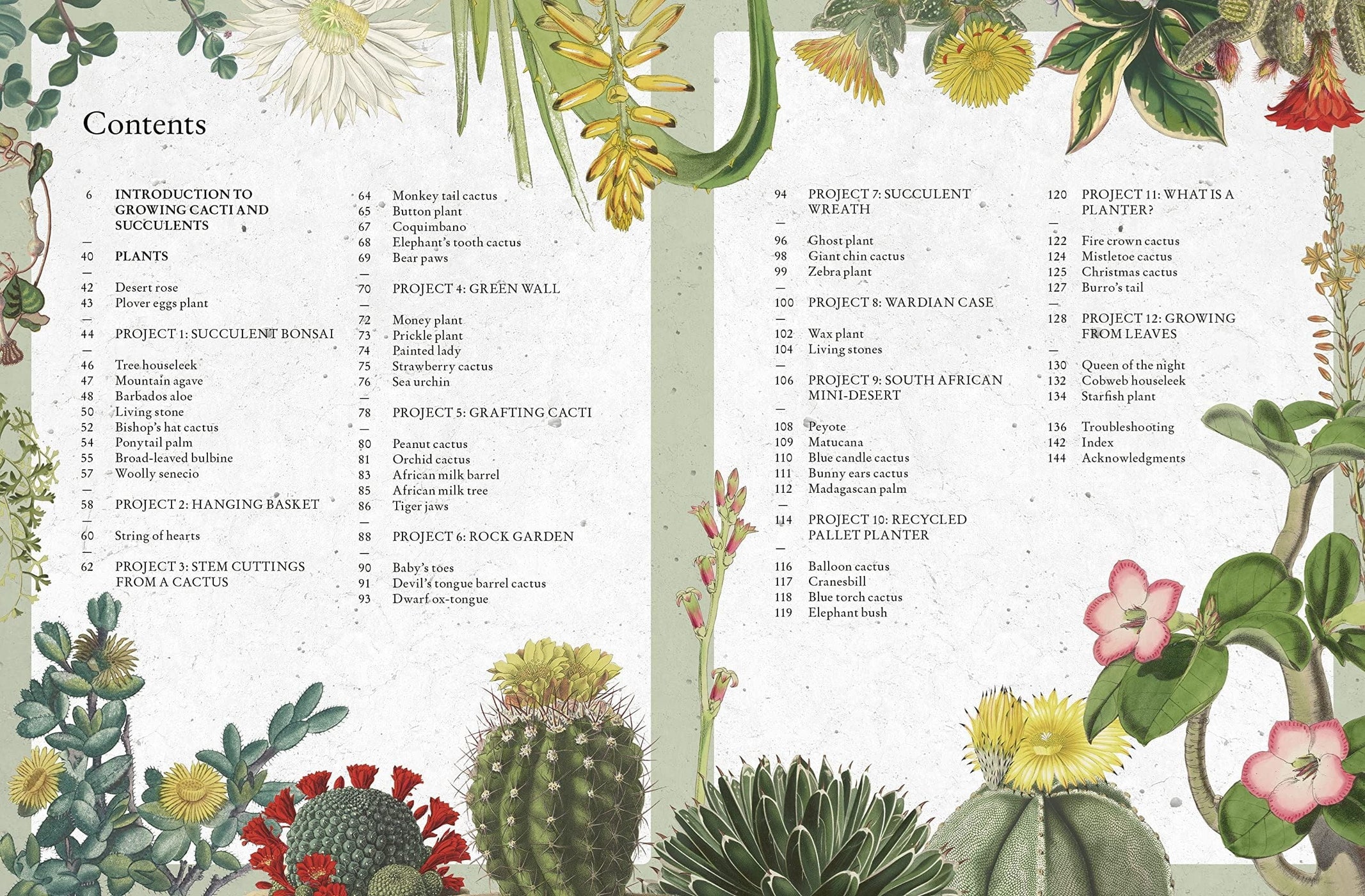 The Kew Gardener's Guide To Growing Cacti And Succulents — Gardening ...