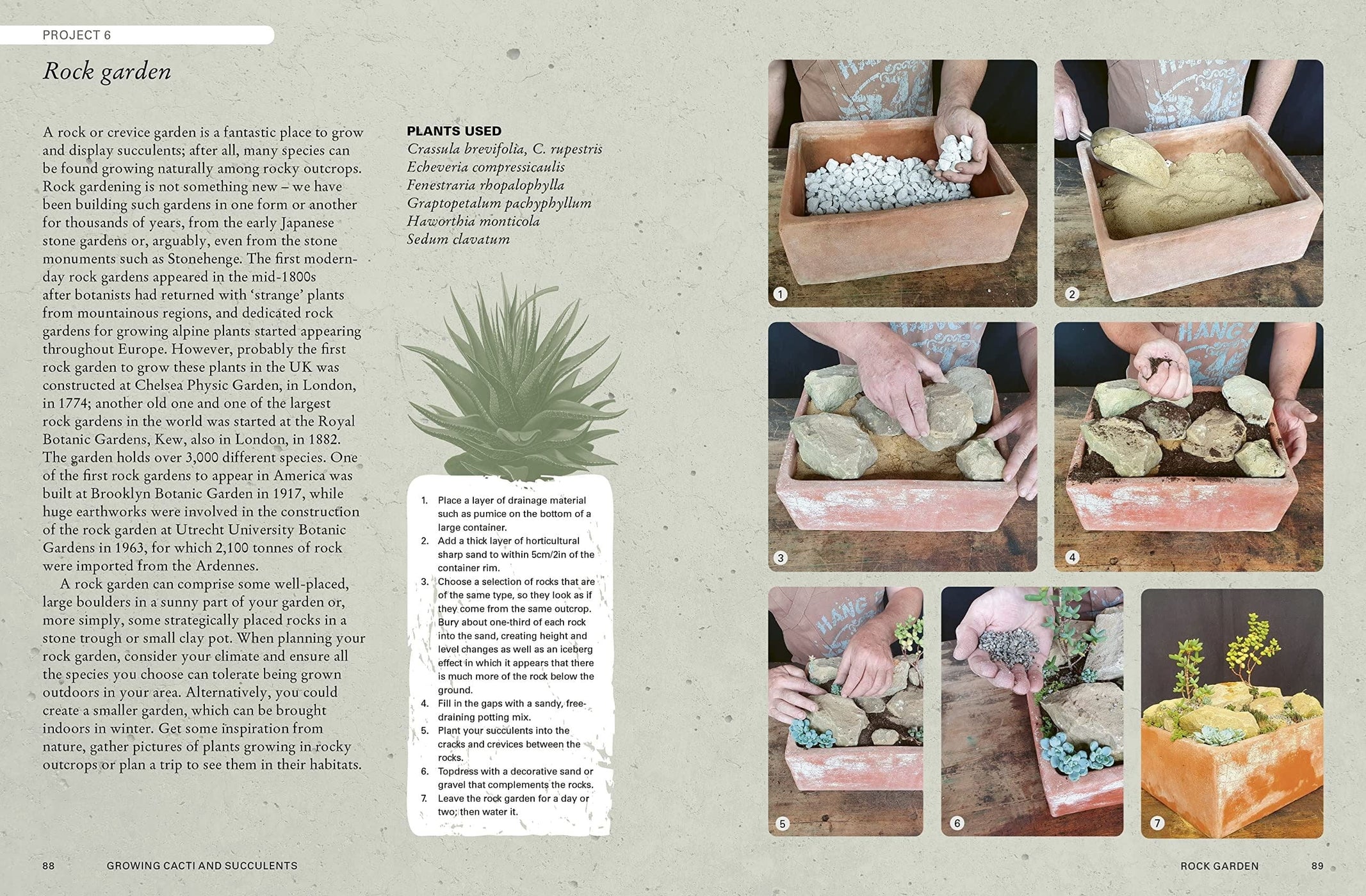 The Kew Gardener's Guide To Growing Cacti And Succulents — Gardening ...