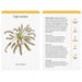 Royal Botanic Gardens, Kew Card Decks - Kew A Home Full of House Plants: A Practical Card Deck