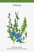 Royal Botanic Gardens, Kew Card Decks - Kew Cabinet Full of Medicinal Plants Card Deck