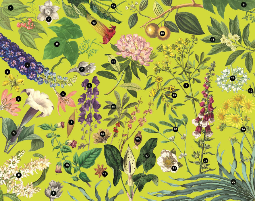 Royal Botanic Gardens, Kew Games - KEW Poisonous Plants 1000 Piece Jigsaw Puzzle