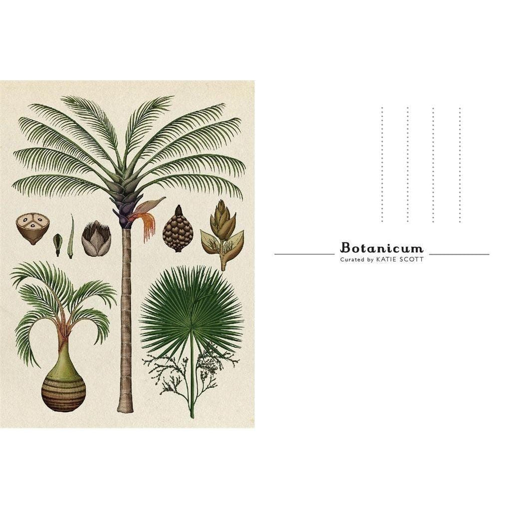 Kew Botanicum Postcards — Gardening Gifts Co.