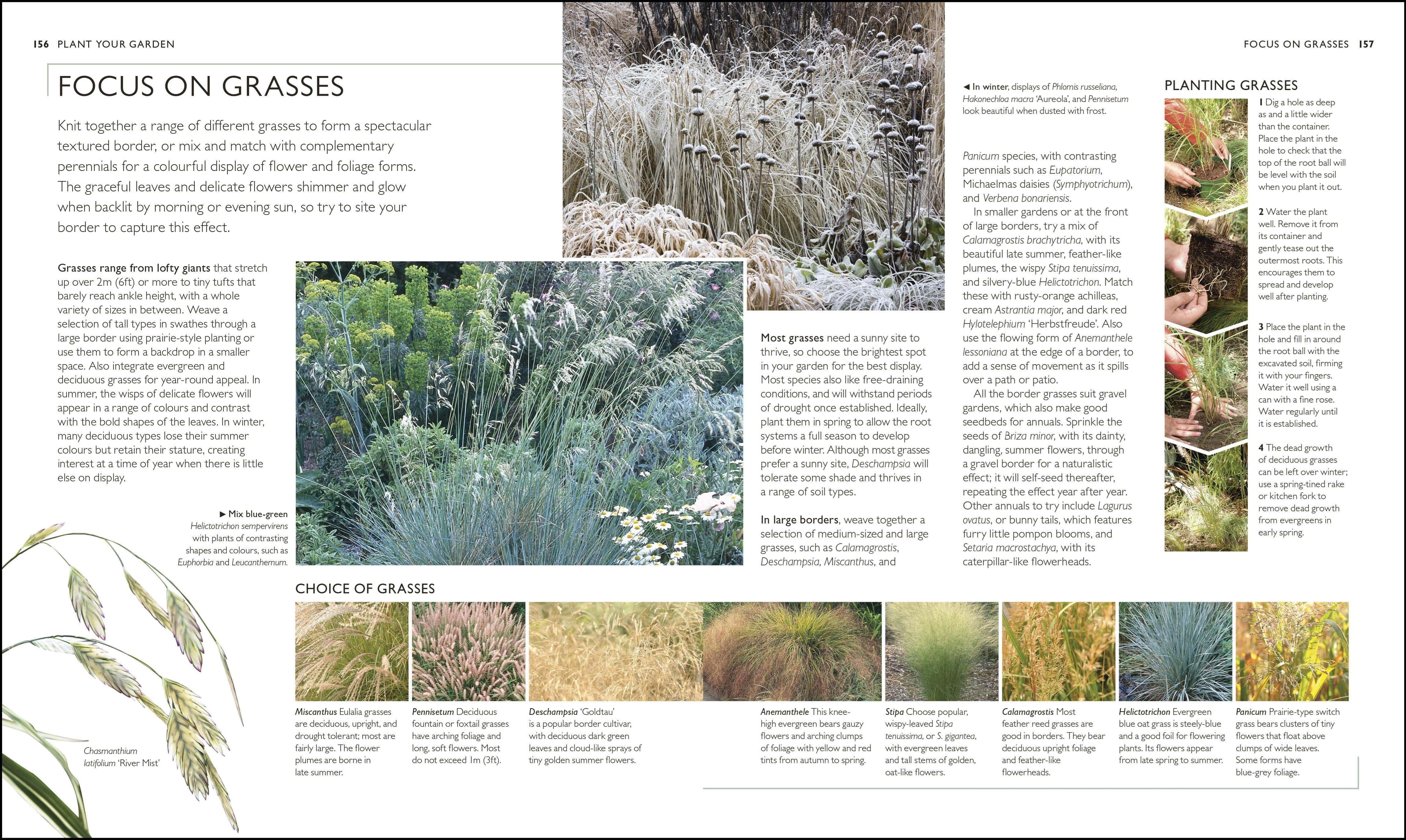 Rhs Tree Selection Guide RHS Complete Gardener's Manual: The one-stop guide to plan, sow, plant ...