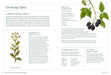 Royal Horticultural Society (RHS) Books - RHS Horticurious: A Gardeners Miscellany