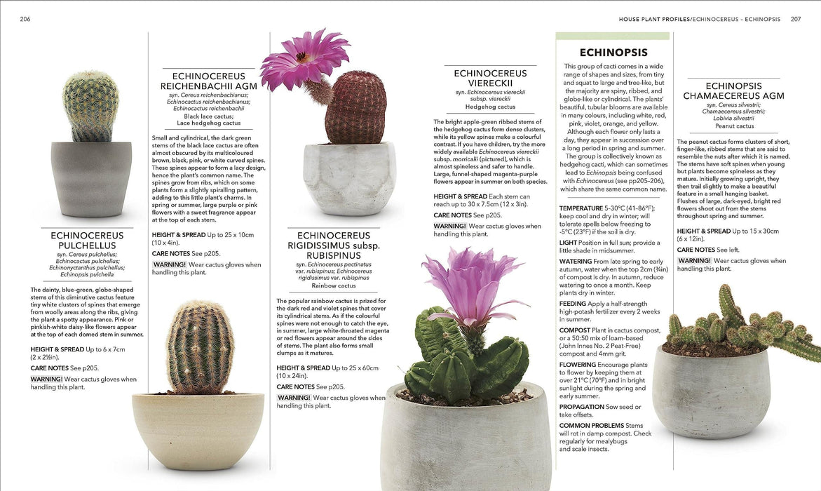 practical house plant book RHS House Plant: Practical Advice for All House Plants, Cacti and Succ — Gardening Gifts Co