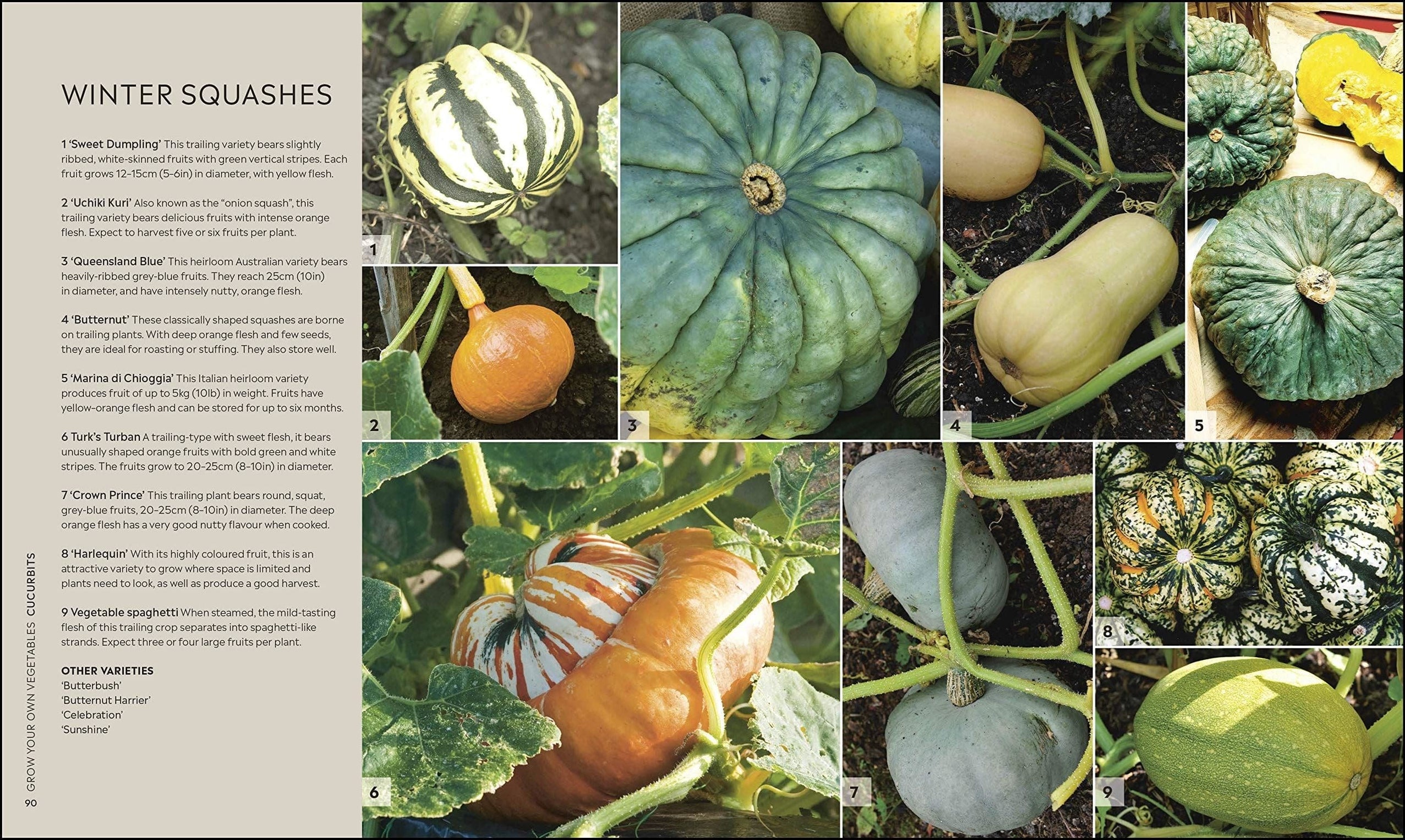 RHS Step-by-Step Veg Patch: A Foolproof Guide to Every Stage of Growing ...