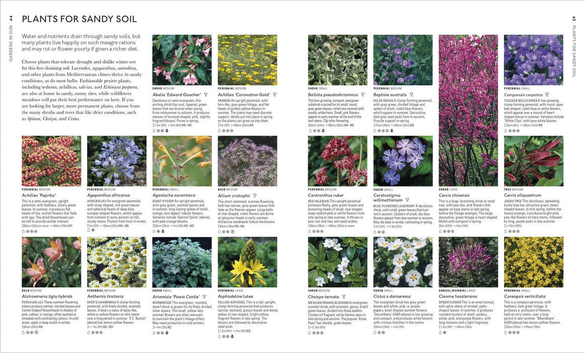 Royal Horticultural Society (RHS) Books - RHS What To Plant Where Encyclopedia