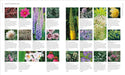 Royal Horticultural Society (RHS) Books - RHS What To Plant Where Encyclopedia