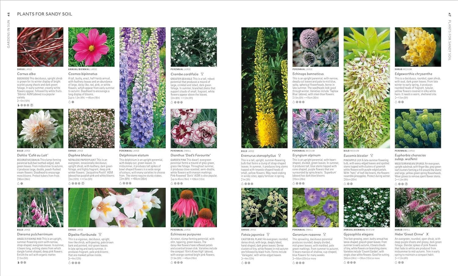 RHS What To Plant Where Encyclopedia — Gardening Gifts Co.