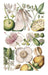 Royal Horticultural Society (RHS) Postcards & Notecards - 100 Flowers RHS Postcards