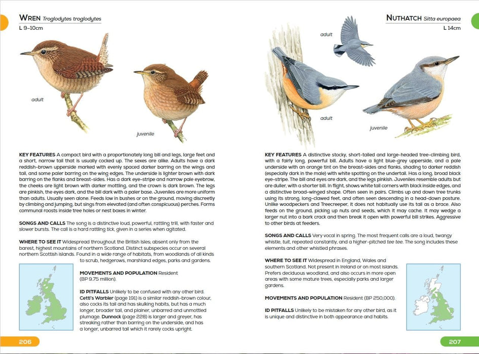 RSPB Books - Pocket Guide to British Birds